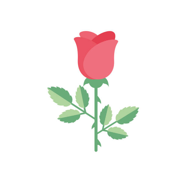 bildbanksillustrationer, clip art samt tecknat material och ikoner med söt blomma ikon i flat design-rose - ros