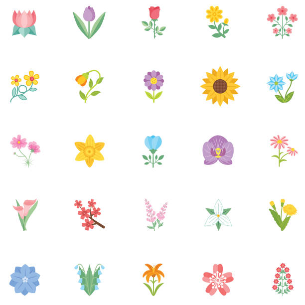 ilustrações, clipart, desenhos animados e ícones de ícone bonito da flor no projeto liso-girassol - daffodil flower spring vector