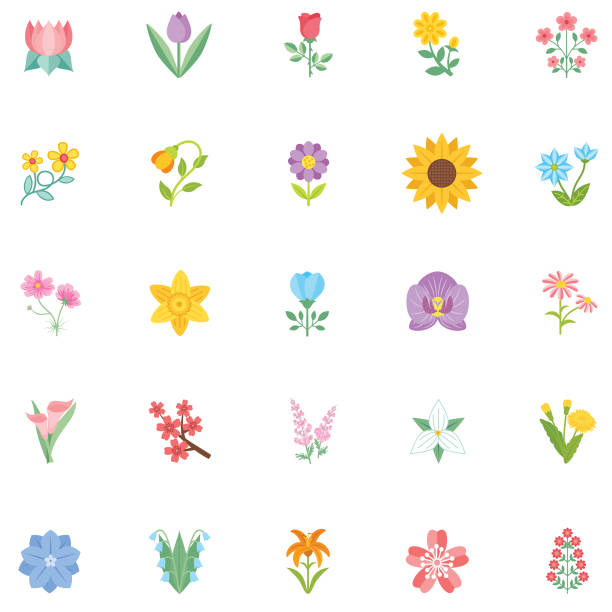 симпатичный цветок значок в плоский дизайн - подсолнечник - весна иллюстрации stock illustrations
