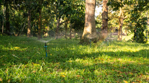istock Watering the plants in agriculture 1142625388