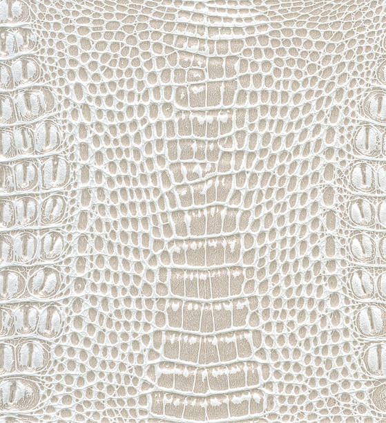 istock texture of skin 114262764