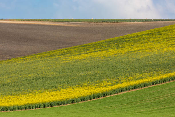 istock South Downs Farm Landscape 1142629917
