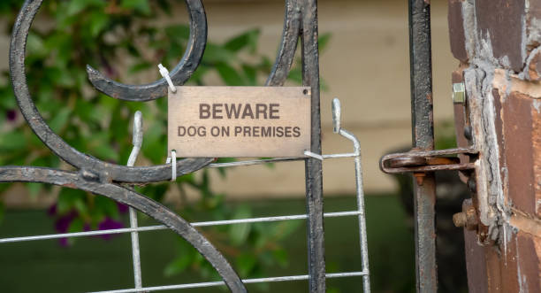 istock Bronze sign BEWARE DOG ON PREMISES on old gate 1142630296