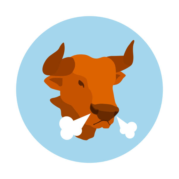 ilustraciones, imágenes clip art, dibujos animados e iconos de stock de la cabeza del toro sobre un fondo de círculo azul. - resoplar