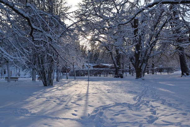 istock Snow landscape Sweden 1142634157