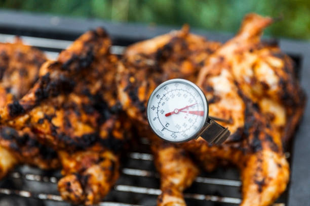 360+ Chicken Thermometer Stock Photos, Pictures & Royalty-Free Images -  iStock
