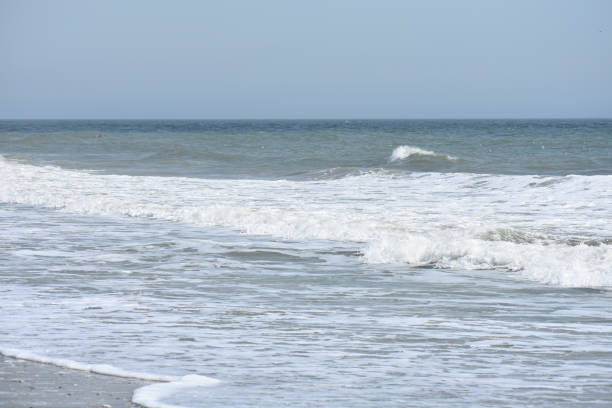 istock Foamy water on beach shore line on sunny day 1142634993