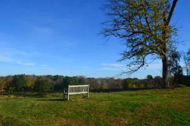 Beautiful landscape of worlds end park with clear blue skies in Hingham MA