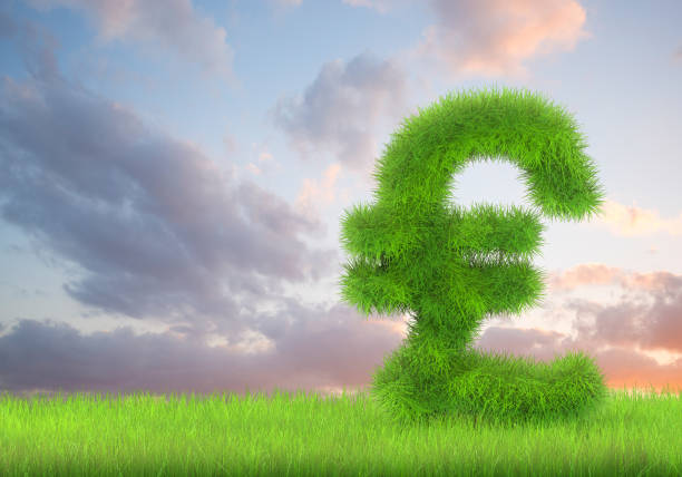 ein pfund-zeichen in sattem grünen gras auf einem wolkenverhangenen hintergrund - pound symbol environment grass currency stock-fotos und bilder