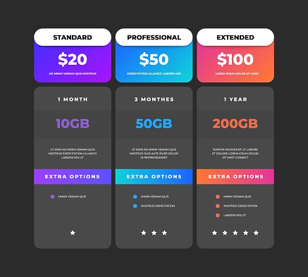 1902.m30.i020.n025.F.c06.1154616274 Comparison table. Business pricing chart web banner, web site tariff plan design template, checklist grid. Vector price compare table