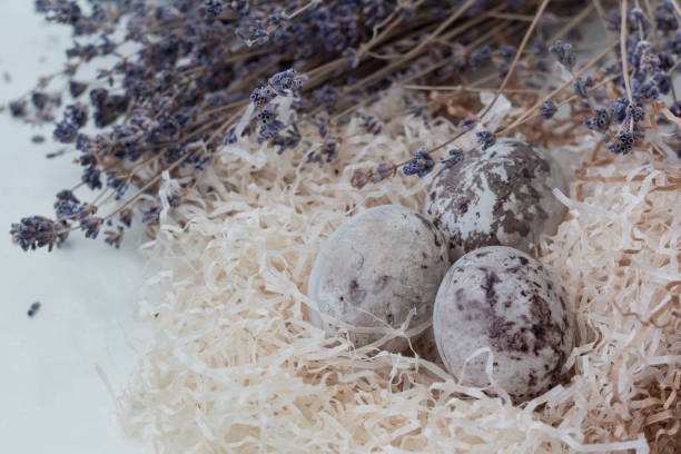 istock Paschal colored eggs inthe nest on white background with lavender twings. Easter decoration. 1142637522