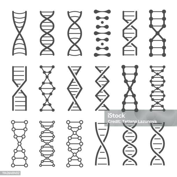 Dna Spiral Icon Human Genetics Code Genom Model And Bio Laboratory String Spirals Vector Icons Set Stock Illustration - Download Image Now