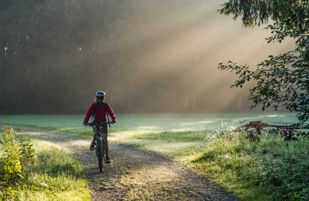 mountainbiken in österreich - solitude morning nature rural scene stock-fotos und bilder