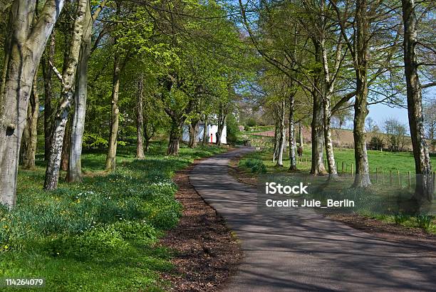 Parkway Stockfoto und mehr Bilder von Baum - Baum, Europa - Kontinent, Farbbild