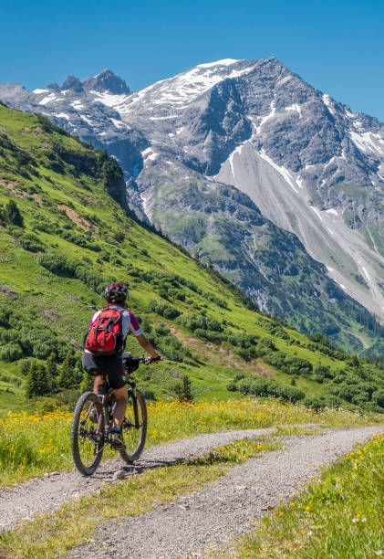 istock mountainbiking in the Arlberg Range, Austria 1142641163