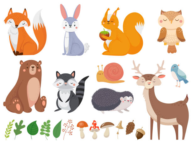 ilustraciones, imágenes clip art, dibujos animados e iconos de stock de lindos animales del bosque. animales salvajes, flora del bosque y elementos de fauna aislada ilustración vectorial de dibujos animados conjunto - woods