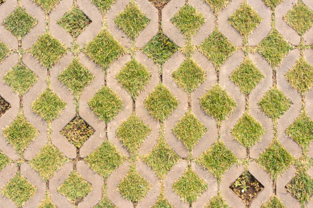 istock Background of concrete block walkway with green grass 1142643655