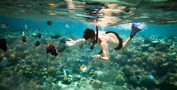istock Snorkeler.  Red sea 114264499