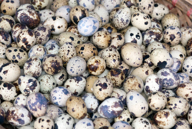 istock Bunch of quail eggs at market 1142645617