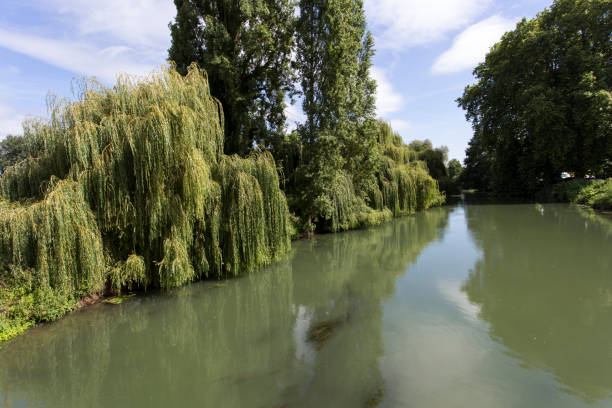 istock A beautiful river landscape in France 1142645738