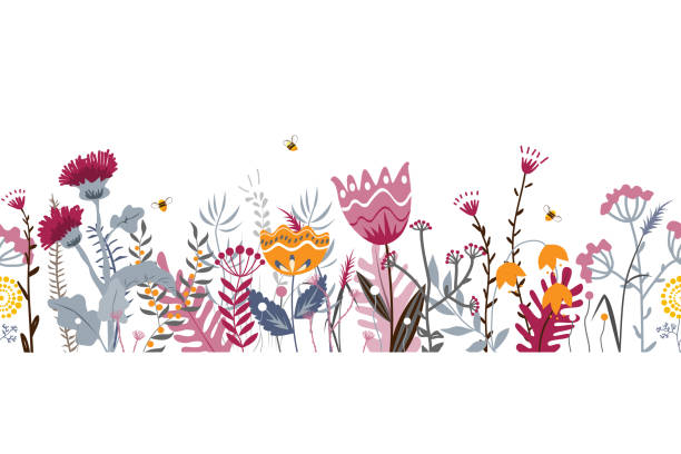 ilustrações de stock, clip art, desenhos animados e ícones de vector nature seamless background with hand drawn wild herbs, flowers and leaves on white. doodle style floral illustration. - field image computer graphic bee