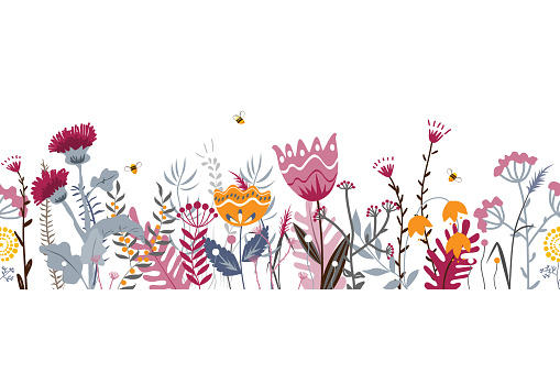 Vector nature seamless background with hand drawn wild herbs, flowers and leaves on white. Doodle style floral illustration. Floral border