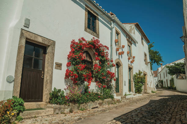 istock Old whitewashed houses and flowered shrubs in cobblestone alley 1142647254