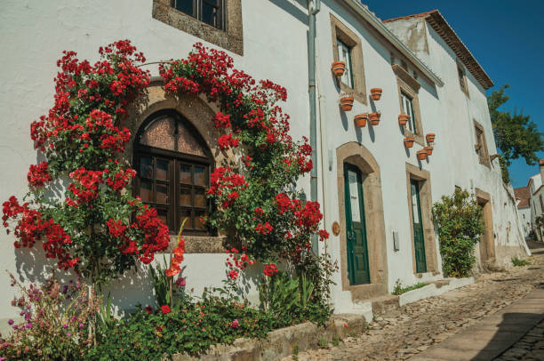 Pink bougainvillea flowers framing a rustic wooden doorway in Sicily.