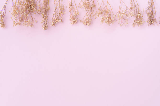 istock space vintage pastel flower on pink background 1142649580