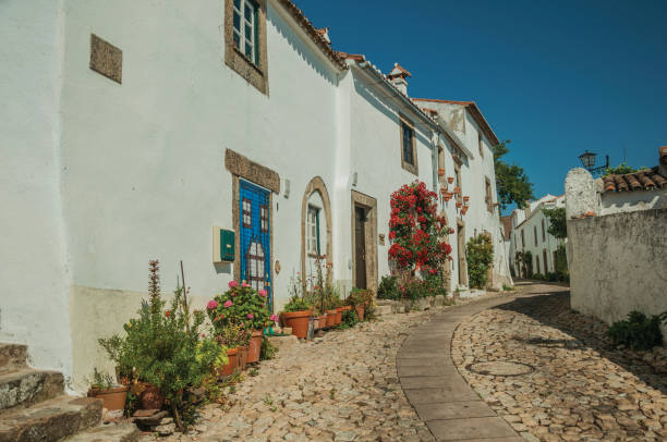istock Old whitewashed houses and flowered shrubs in cobblestone alley 1142649626