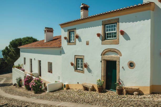 istock Old whitewashed houses and flowered shrubs in cobblestone alley 1142649634