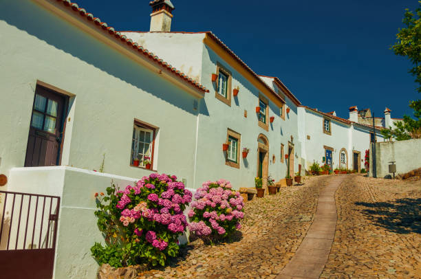 Charming facade of old whitewashed houses and flowered shrubs in cobblestone alley, on a sunny day at Marvao. An amazing medieval fortified village perched on a granite crag in eastern Portugal.
