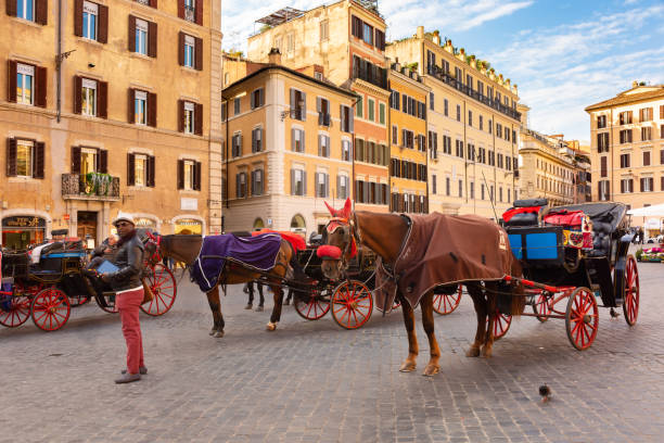 In the Spanish square, there are horse drawn carriages waiting to take tourist on buggy tours of the city. The horses are resting and have blankets on to conserve their body heat.