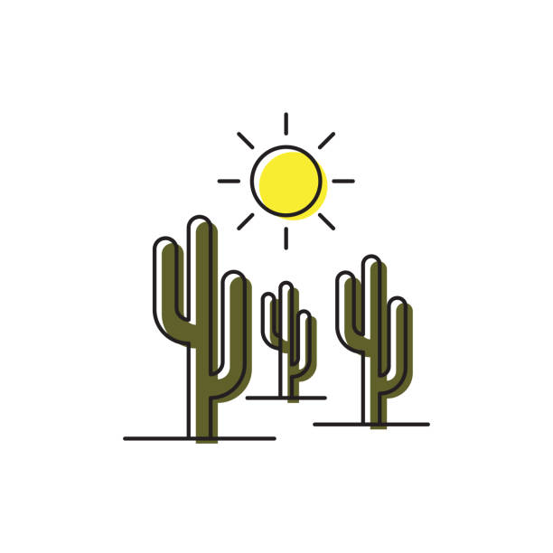 bildbanksillustrationer, clip art samt tecknat material och ikoner med kaktus och sol vektor ikon isolerad på vit bakgrund - desert cactus