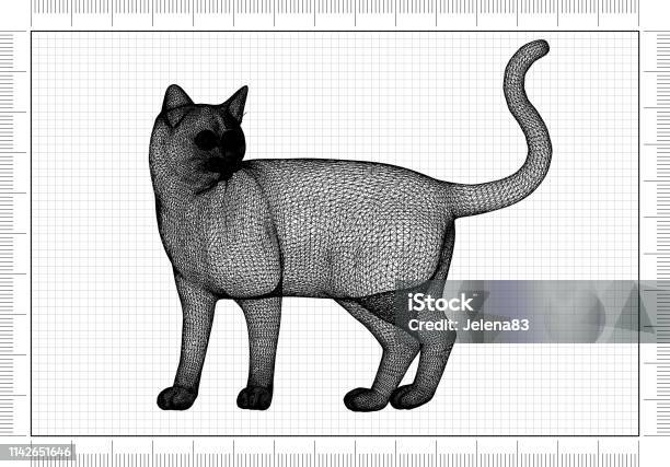 Cat Architect Blueprint Stock Photo - Download Image Now - Animal, Animal  Body Part, Animal Eye - iStock