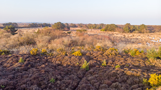 An aerail view of the Studland Nature Reserve with sand dune and peat bog  under a majestic hazy blue sky