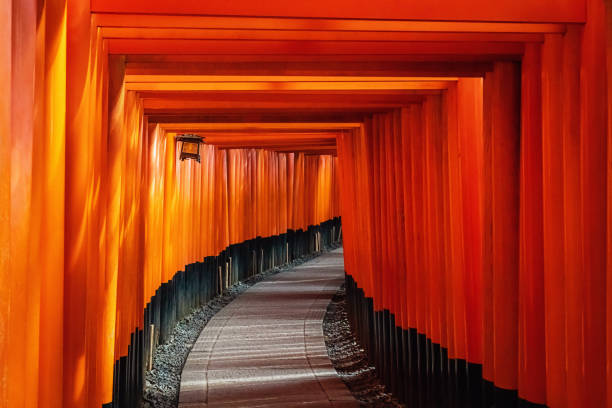 日本京都的伏見稻裡大社鳥居門 - 日本文化 圖片 個照片及圖片檔