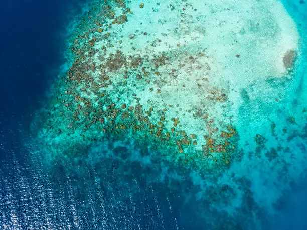 Aerial top down coral reef tropical caribbean sea, turquoise blue water. Indonesia Banyak Islands Sumatra, tourist diving travel destination.