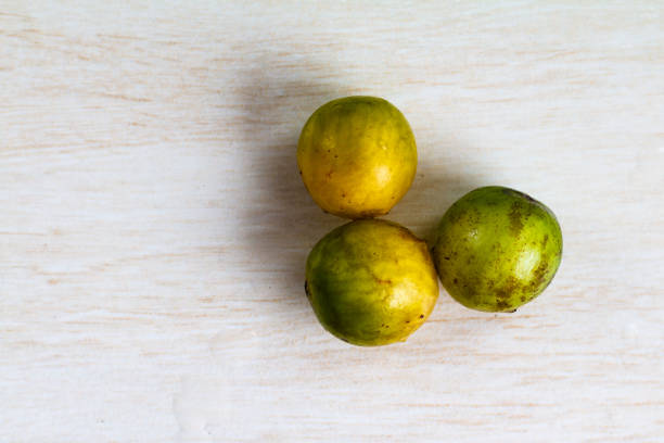 One citric fruit made in studio