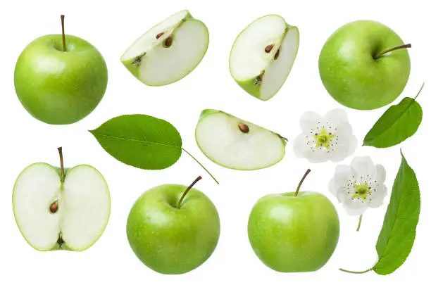 Photo of Green Apple for design package. Set of whole Apple, half and slice with leaf and flowers isolated on white background