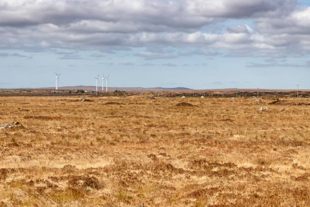 istock Windo Power Farm field in a bog with typical vegetation and rocks 1142661142