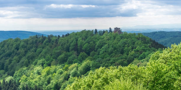 istock Mountain forest landscape under the blue sky with clouds in countryside, Germany 1142661180