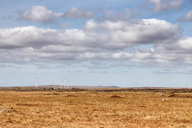 istock Windo Power Farm field in a bog with typical vegetation and rocks 1142661198