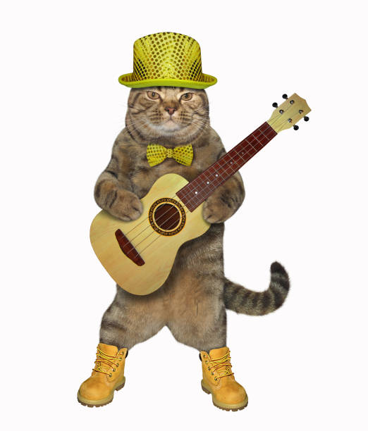 istock Cat plays the guitar in yellow 1142661247