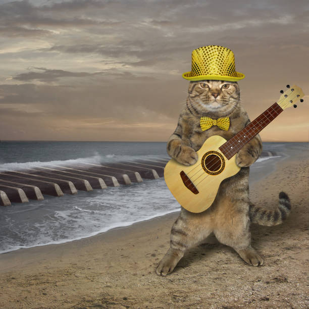 istock Cat plays the guitar on the beach 2 1142661248