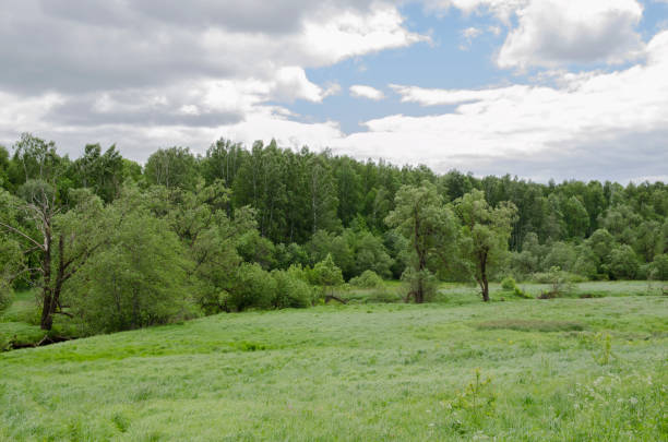 istock View of the field 1142661653