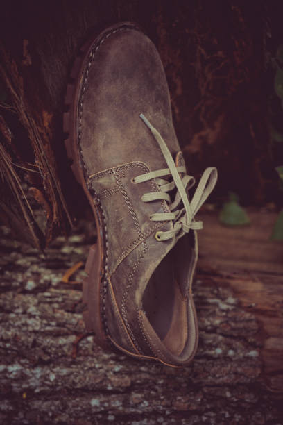 istock New stylish brown men's shoes. 1142661699
