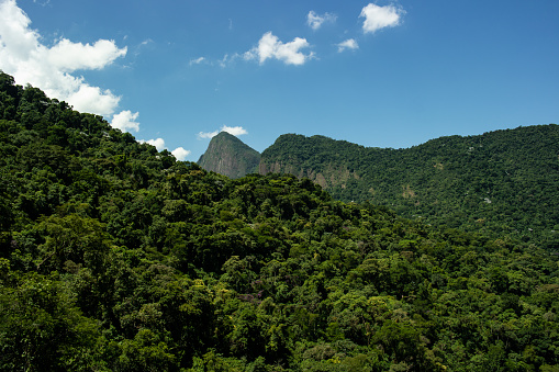 Beautiful green landscape in Piabetá, municipality of Magé in Rio de Janeiro