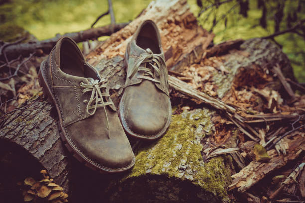 istock New stylish brown men's shoes. 1142662949