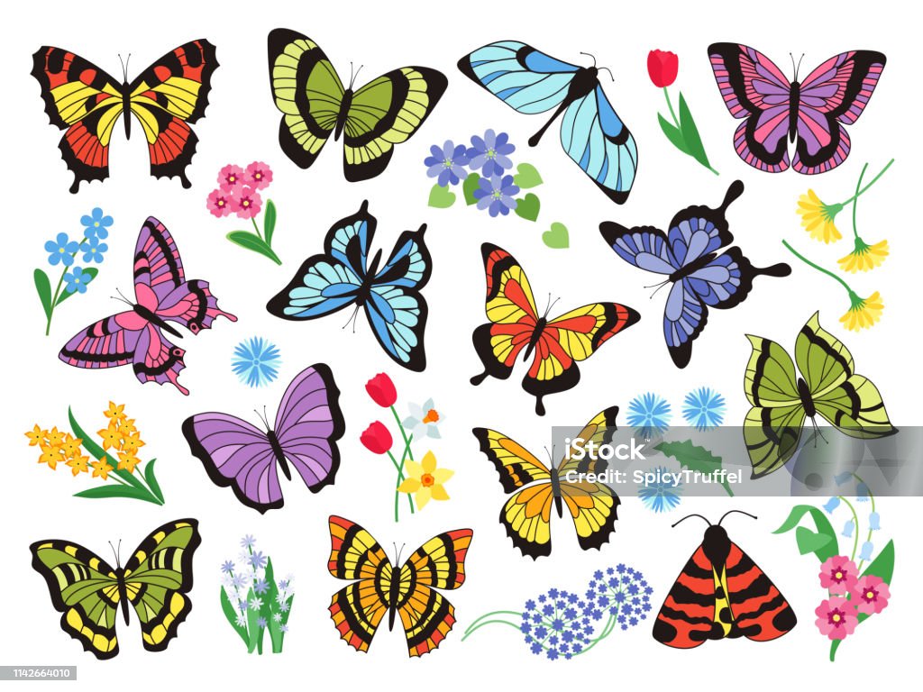 Colored butterflies. Hand drawn simple collection of butterflies and flowers isolated on white background. Vector graphic collection Colored butterflies. Hand drawn simple collection of butterflies and flowers isolated on white background. Vector graphic collection drawn vintage flying insect Papillon Dog stock vector